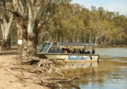 Small tour boat for sightseeing along the Murray River