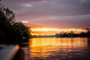 Murray River Cruises