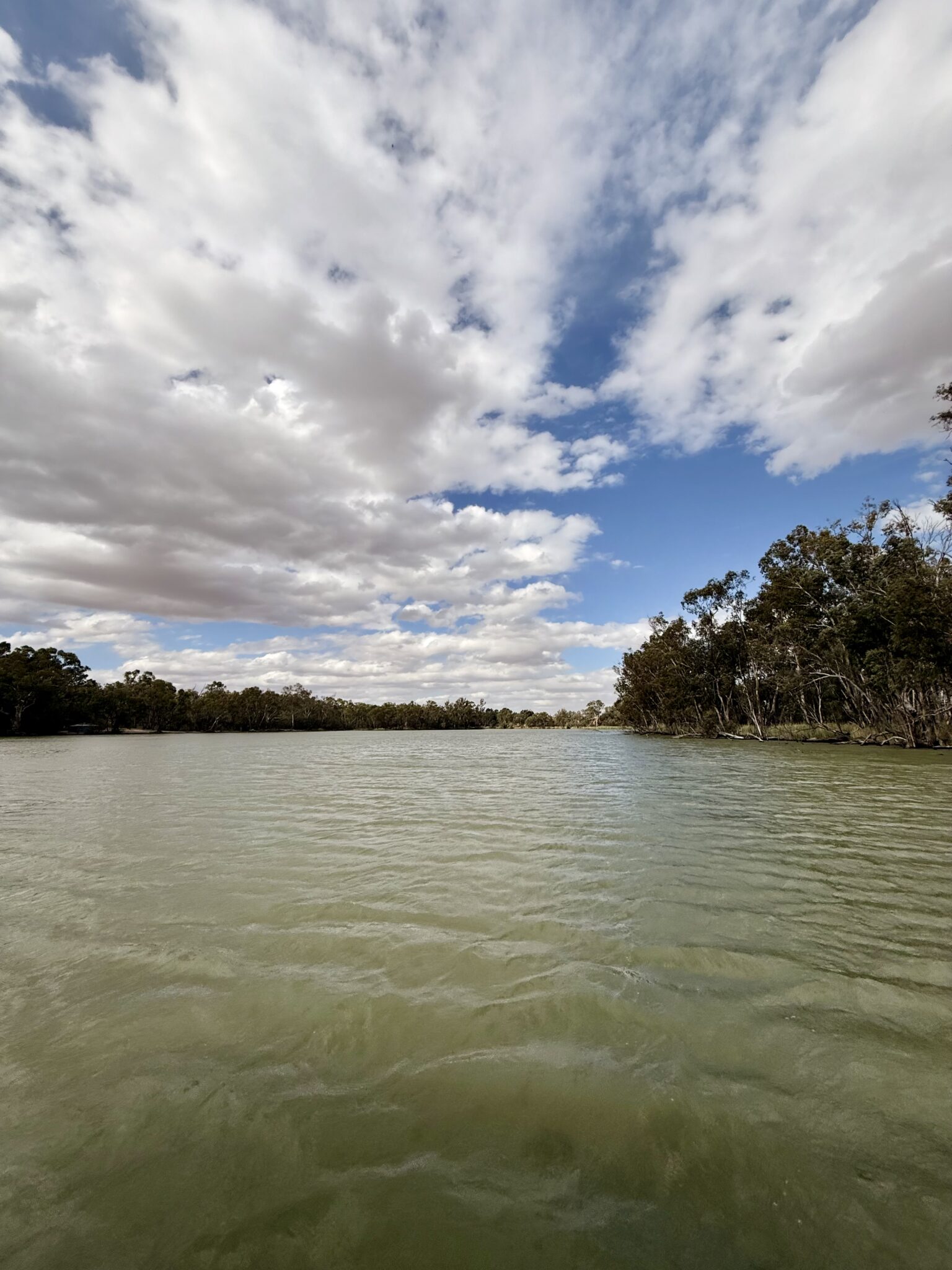 Which is the Best Murray River Cruise for Seniors? - Murray River Cruises