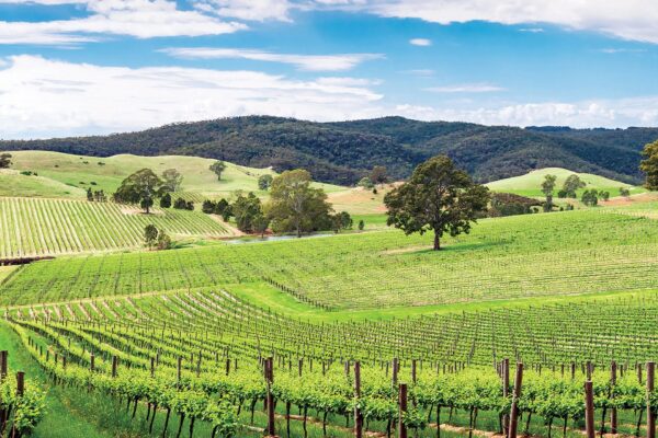 11 Day Tastes of Southern Australia
